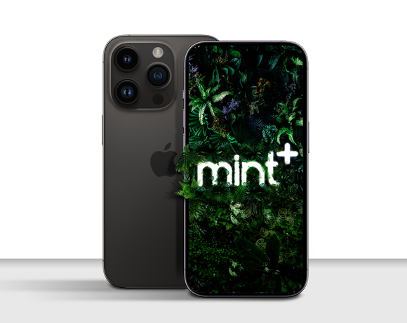 Mint phone image 196b05cb 7422 424d b07f 8d5eedac19a1